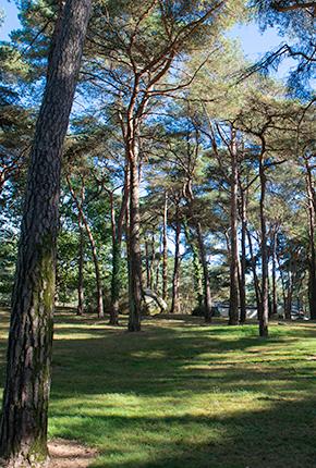 Camping Domaine de la Pinède Bretagne