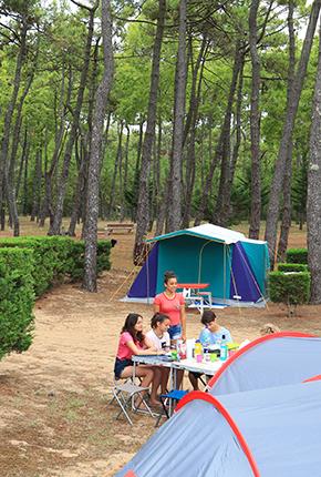 Camping La Grière La Tranche-sur-Mer Vendée