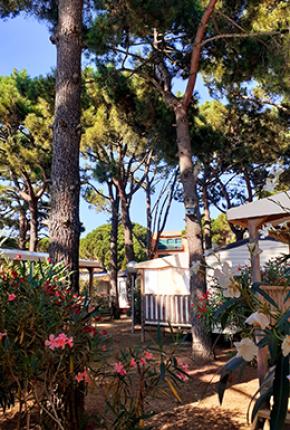 Camping Neptuno Pals Spanje Costa Brava