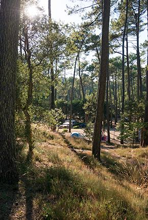 Camping l'Etang Blanc Seignosse Landes