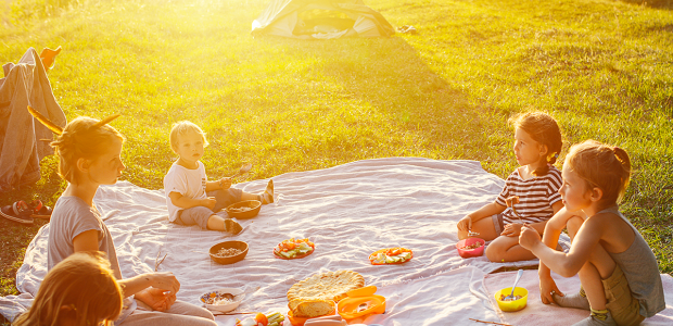 Kinderpicknick op het gras