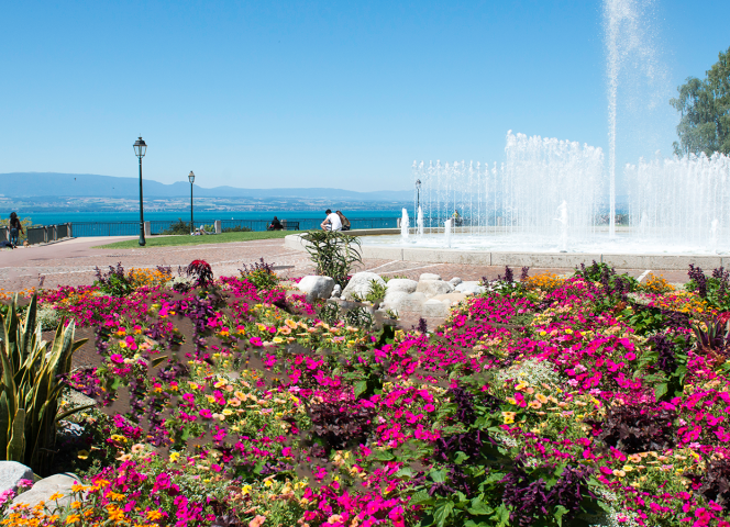 Camping La Dranse Thonon-les-Bains Meer van Genève