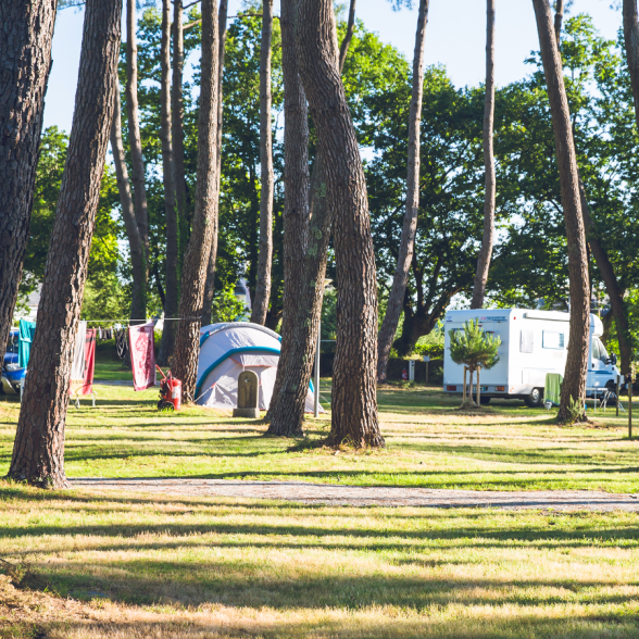 camperplaats onder de bomen