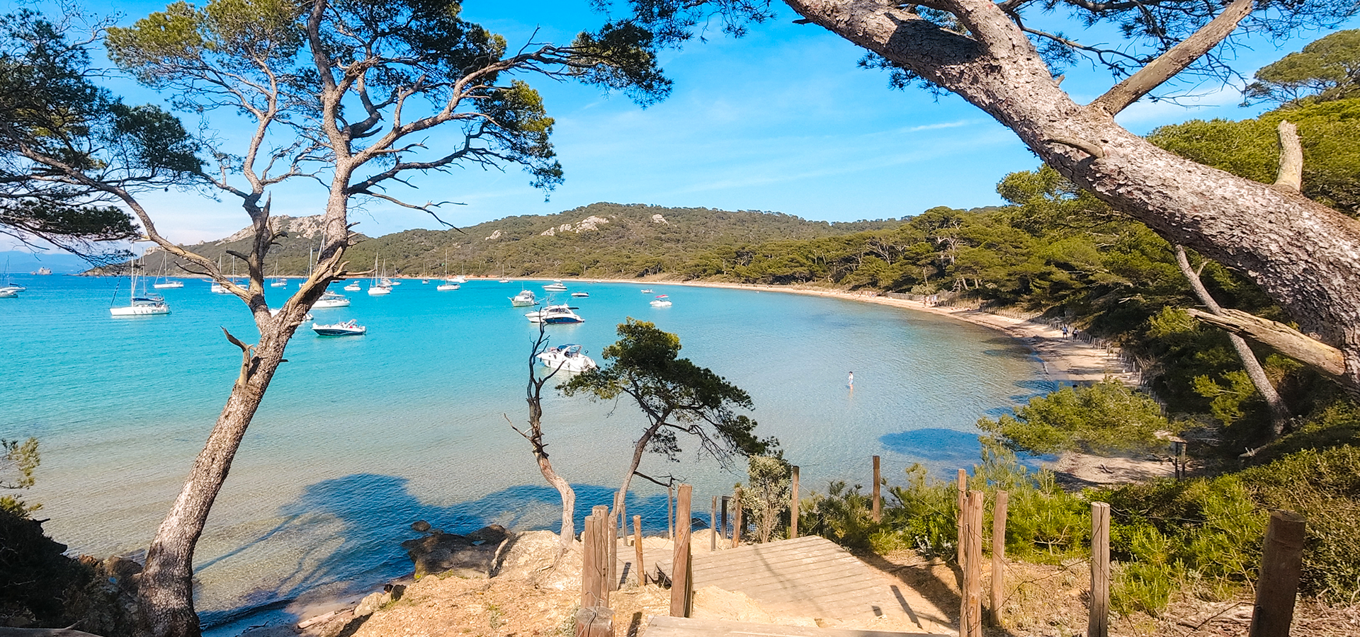 Crique île de Porquerolles bij Hyères in het departement Var