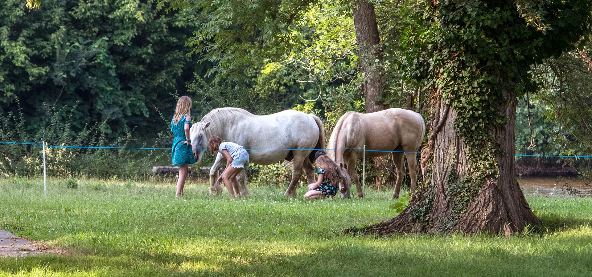 André Trigano vakantie camping platteland
