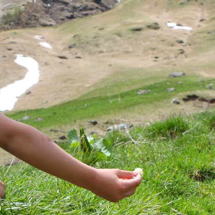 Natuurcamping