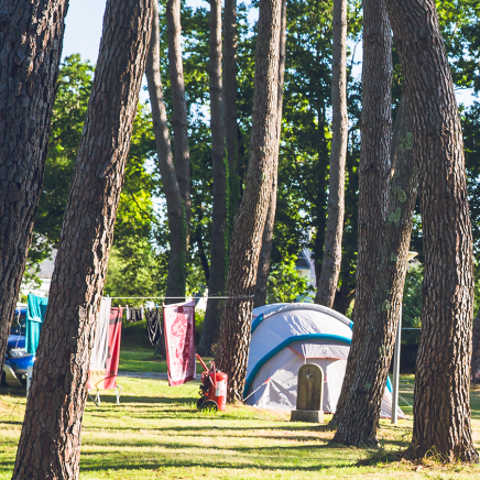 Tent onder de dennen
