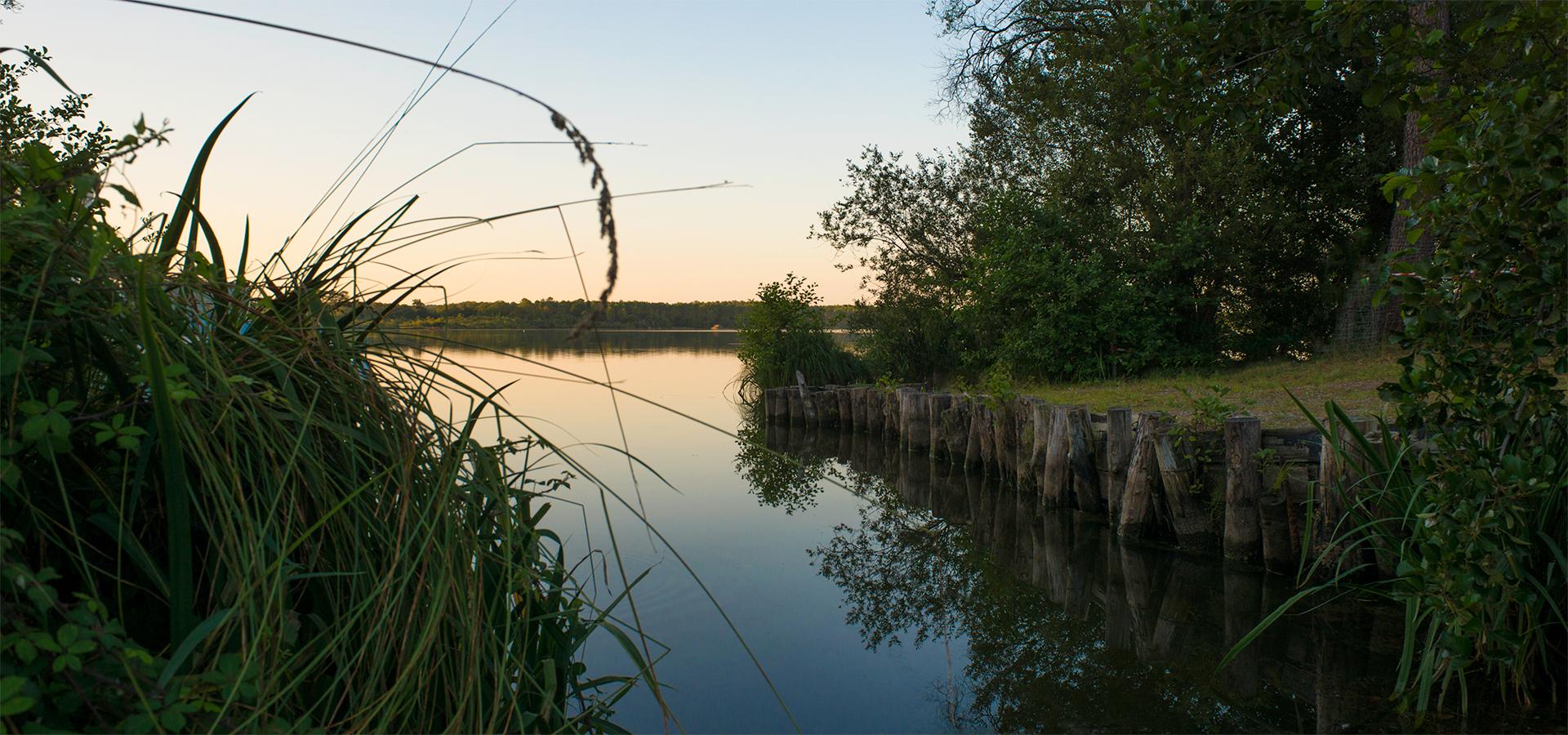 Camping l'Etang Blanc Seignosse Landes