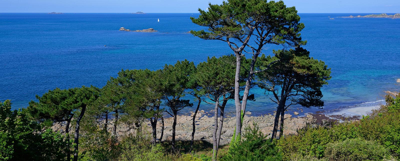 Camping Les Ajoncs d'Or Trégastel Bretagne