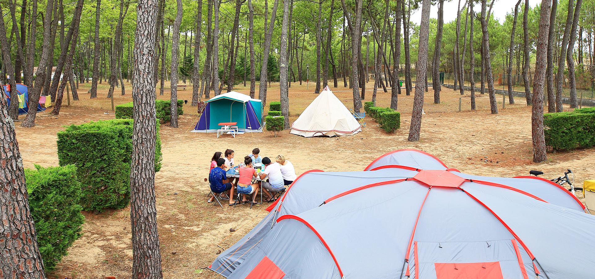 Camping La Grière La Tranche-sur-Mer Vendée