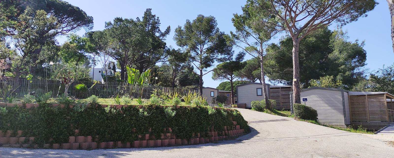 Camping Parc de Bormes Bormes-les-Mimosas Var