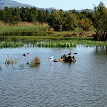 Camping Castell Montgri L'Estartit Spanje Costa Brava