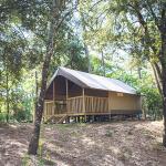 Camping Domaine de Montcalm Les Mathes La Palmyre Charente-Maritime